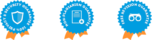 The Best 10 Examples Of essay writer